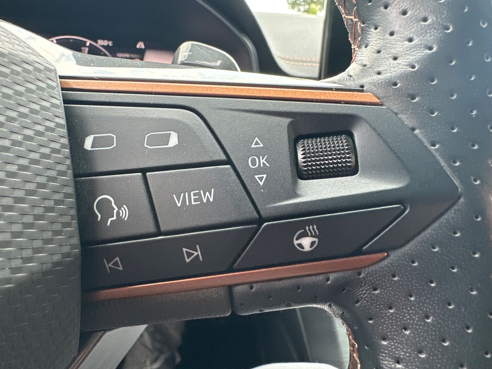 Fahrzeugabbildung CUPRA Formentor 4Drive NAV+LED+AHK+ACC+KAM+PANO+19ZOLL