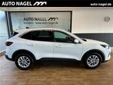 Ford Kuga Titanium 2.5l FHEV ACC TWA LED - Ford Kuga Neuwagen in Duisburg