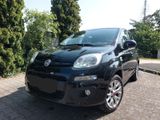 Fiat New Panda 1.2 8V LOUNGE  - Fiat New Panda von privat