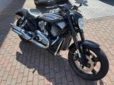 Harley-Davidson VRSCR Street Rod R&R 240er Night Rod  Muscle - HARLEY-DAVIDSON STREET ROD