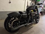 Harley-Davidson Sportster Roadster XL1200CX Custom Matt - HARLEY-DAVIDSON XL 1200 CUSTOM