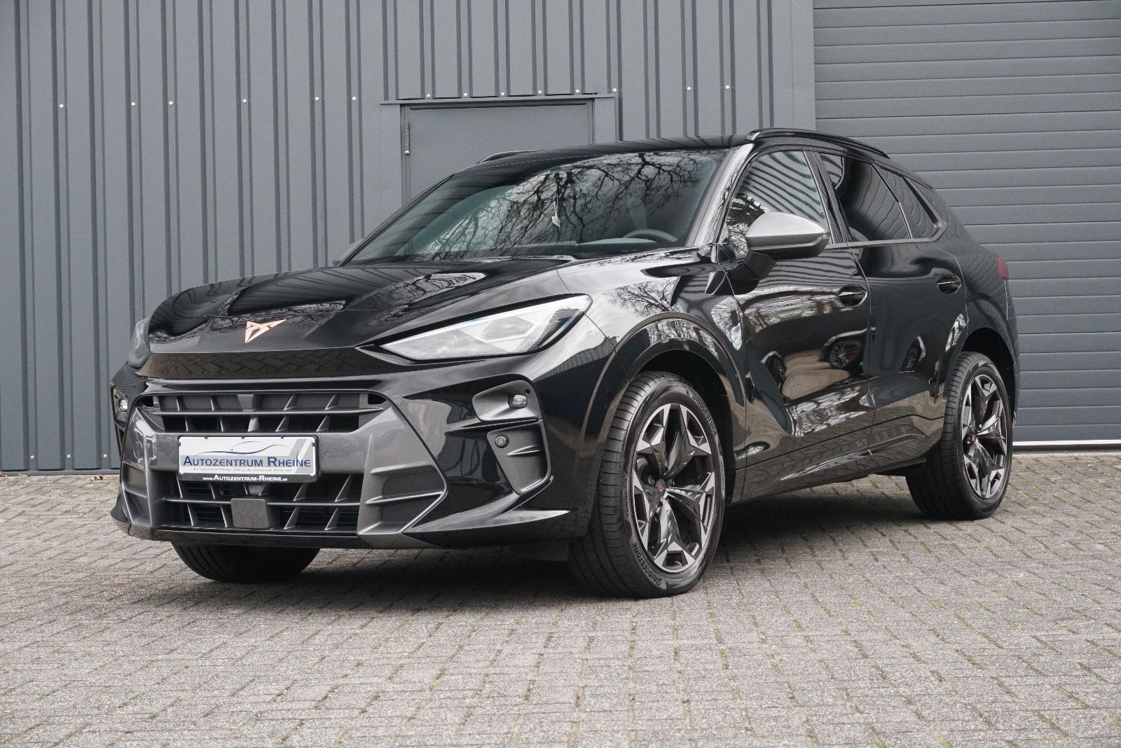 Cupra Terramar - Bild 3