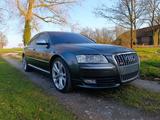 Audi S8 5.2 tiptronic quattro - - Audi S8 aus 2009