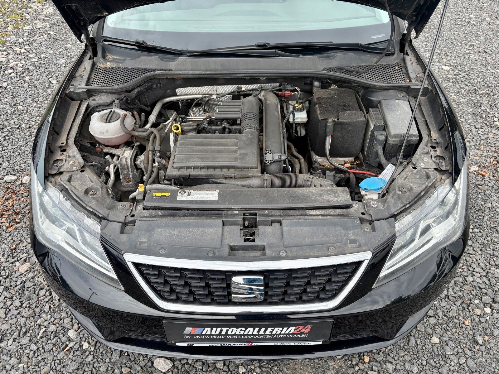 Fahrzeugabbildung SEAT Leon Style 1.4 TSI Klima SHZ Tempomat SPORTLENKR