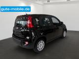 Fiat Panda Pandina Hybrid MY25 70PS  - Fiat Panda: Pandina