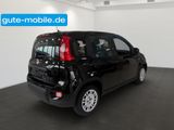 Fiat Panda Pandina Hybrid MY25 70PS  - Fiat Panda Tageszulassungen mit Benzin-Antrieb: Limousine