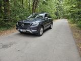 Mercedes-Benz ML 350 4MATIC | 306 PS | nur... - Mercedes-Benz ML 350 mit Benzin-Antrieb