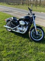 Harley-Davidson Sportster 883 Superlow - HARLEY-DAVIDSON 883 SUPERLOW