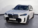 BMW X5 xDrive40i M SPORT AHK Driving Assistant Pro A - BMW X5: 40d