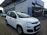 Fiat Panda Easy 1.2 KLIMA/1.Hand/Servo/Allwetterreif. - gebrauchte Fiat Panda aus dem Jahr 2020