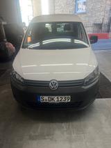Volkswagen Caddy 1,6TDI 75kW Tramper Tramper - Volkswagen Caddy: Tramper