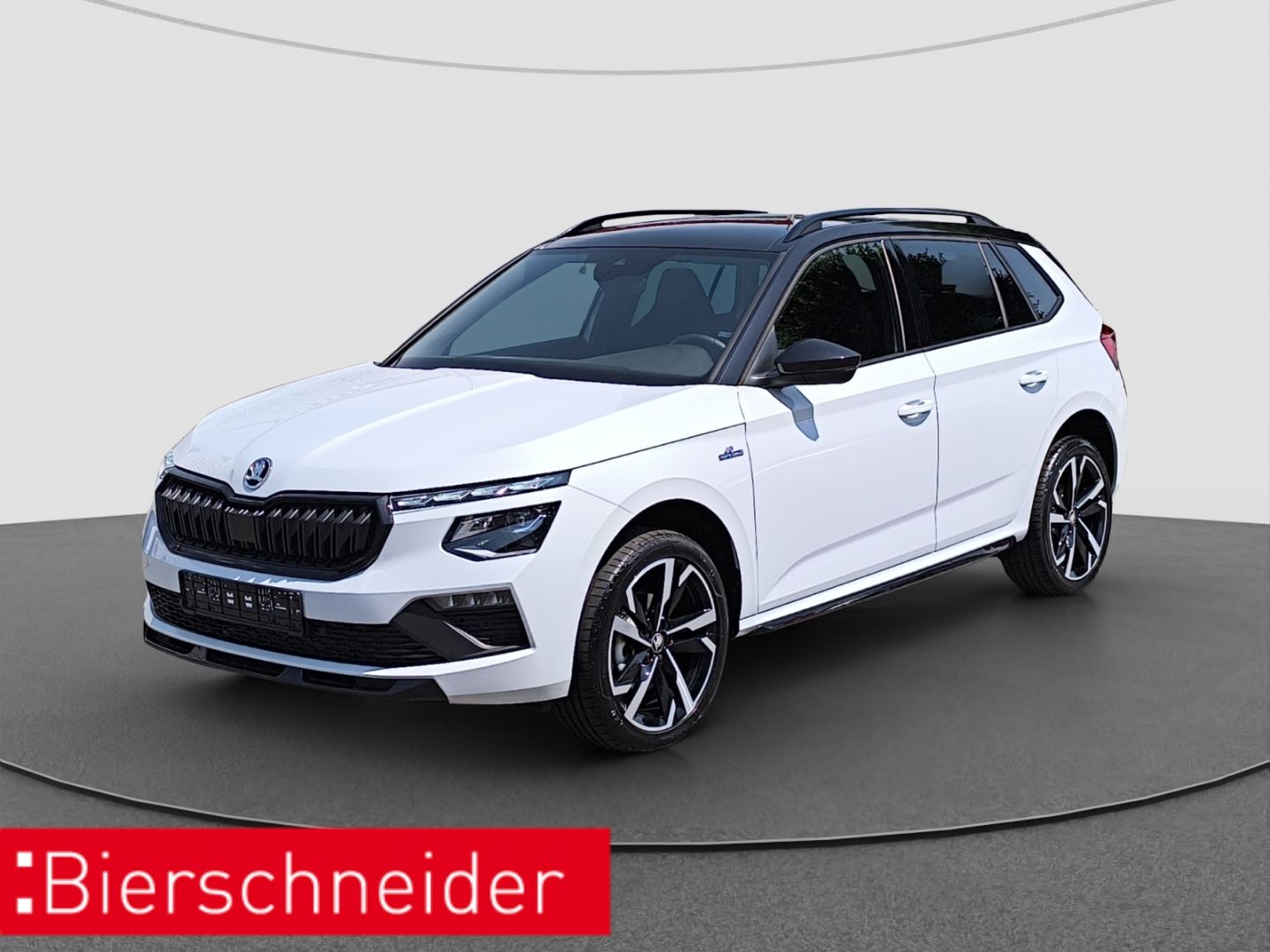 Skoda Kamiq 1.5 TSI DSG Monte Carlo AHK LED 18 ZOLL