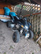 Dinli 450ccm - DINLI QUAD