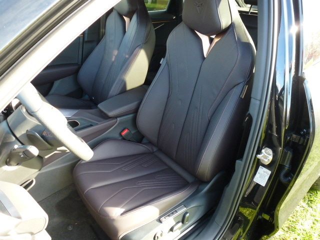 Fahrzeugabbildung CUPRA Terramar VZ 1.5 e-Hybrid DSG + Panorama