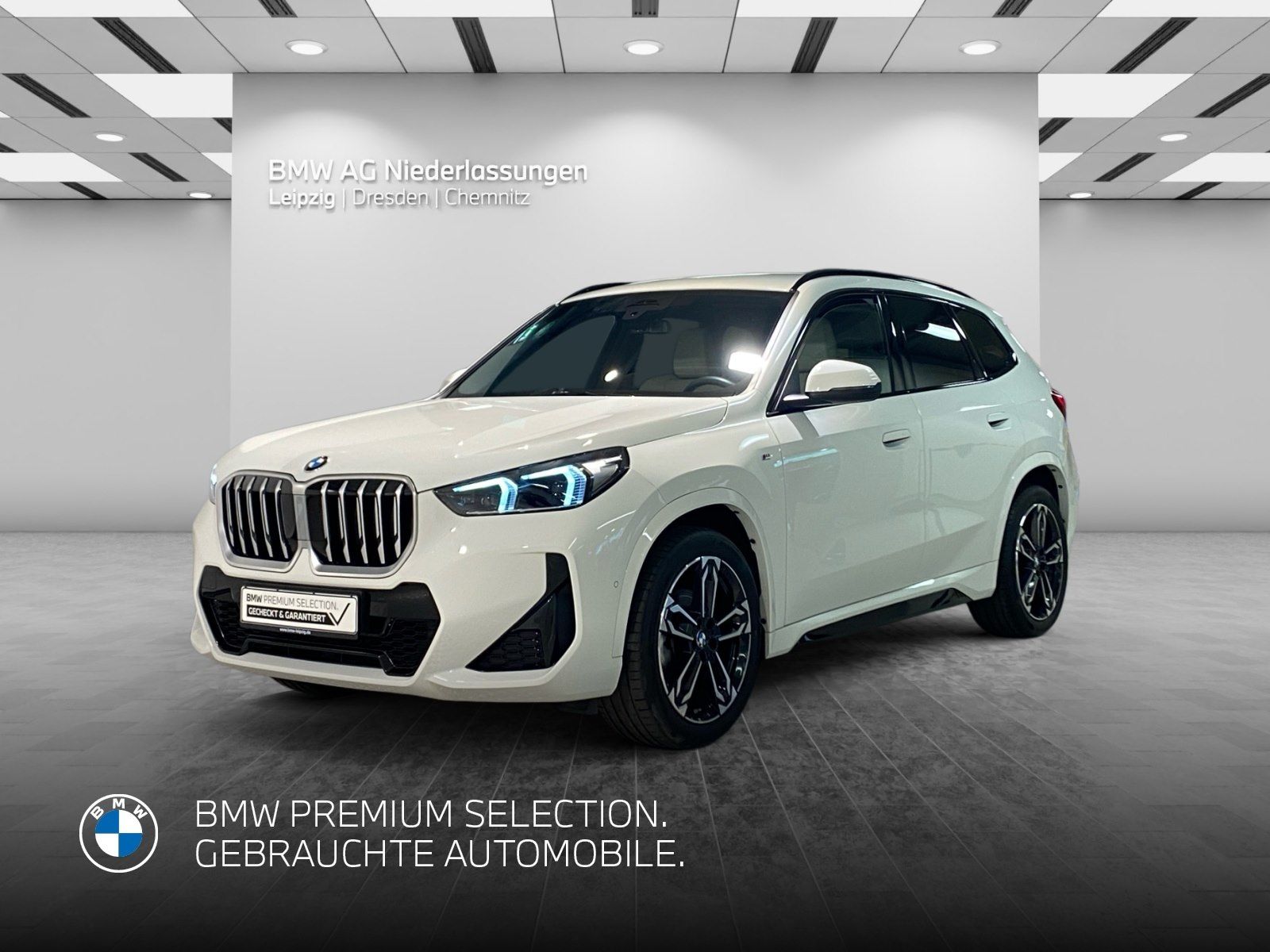 BMW X1 sDrive20d M Sport AHK Driv.Assist+ Harman/K