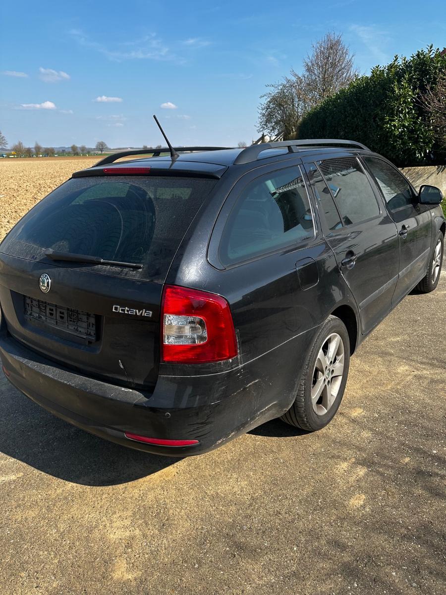 Skoda Octavia 2012 — photo 10