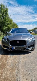 Jaguar jaguar xf 3.0d  Portfolio  300 ps - Jaguar XF aus 2015