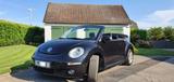 Volkswagen Beetle 1,6 United/New Beetle - VW Beetle von privat