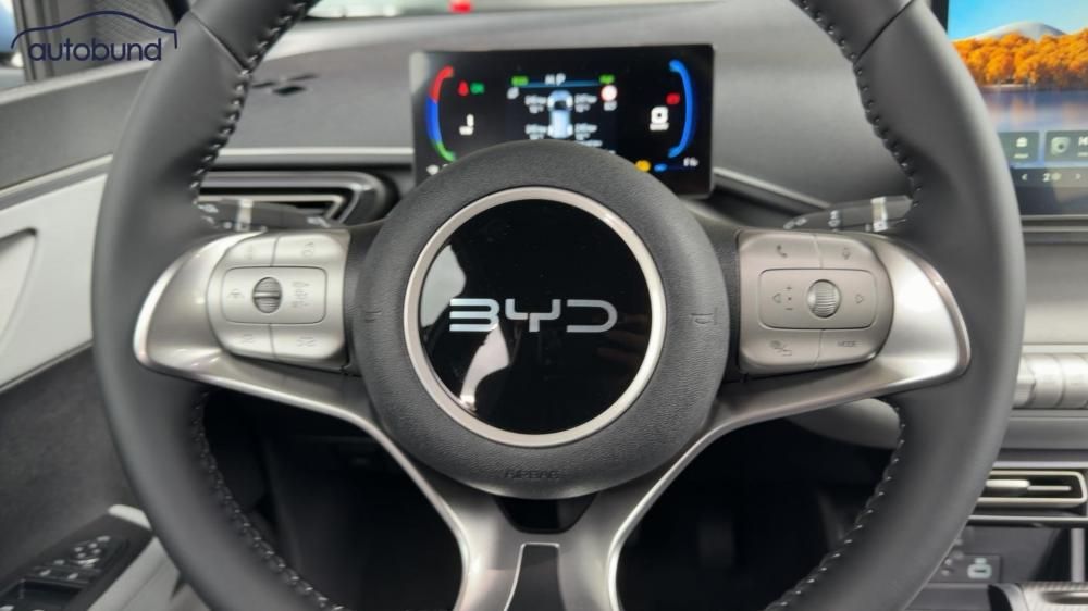 BYD DOLPHIN SURF