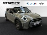MINI Cooper Cabrio ClassicTrim|Sportsitz|PDC|LED - MINI Cooper Cabrio aus 2021