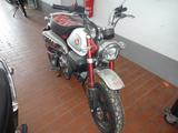 Honda Monkey Z 125 MA - HONDA MONKEY 125
