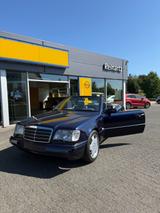 Mercedes-Benz E 320