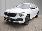 Skoda Kamiq 1.0 TSI DSG Selection '17 ACC LED  SHZ PDC - Skoda Kamiq aus 2025