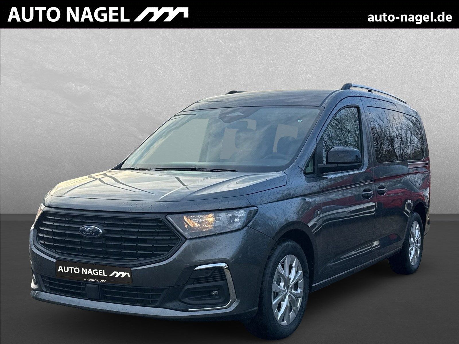 Ford Tourneo Connect Titanium 1.5l EcoBoost NAVI PDC