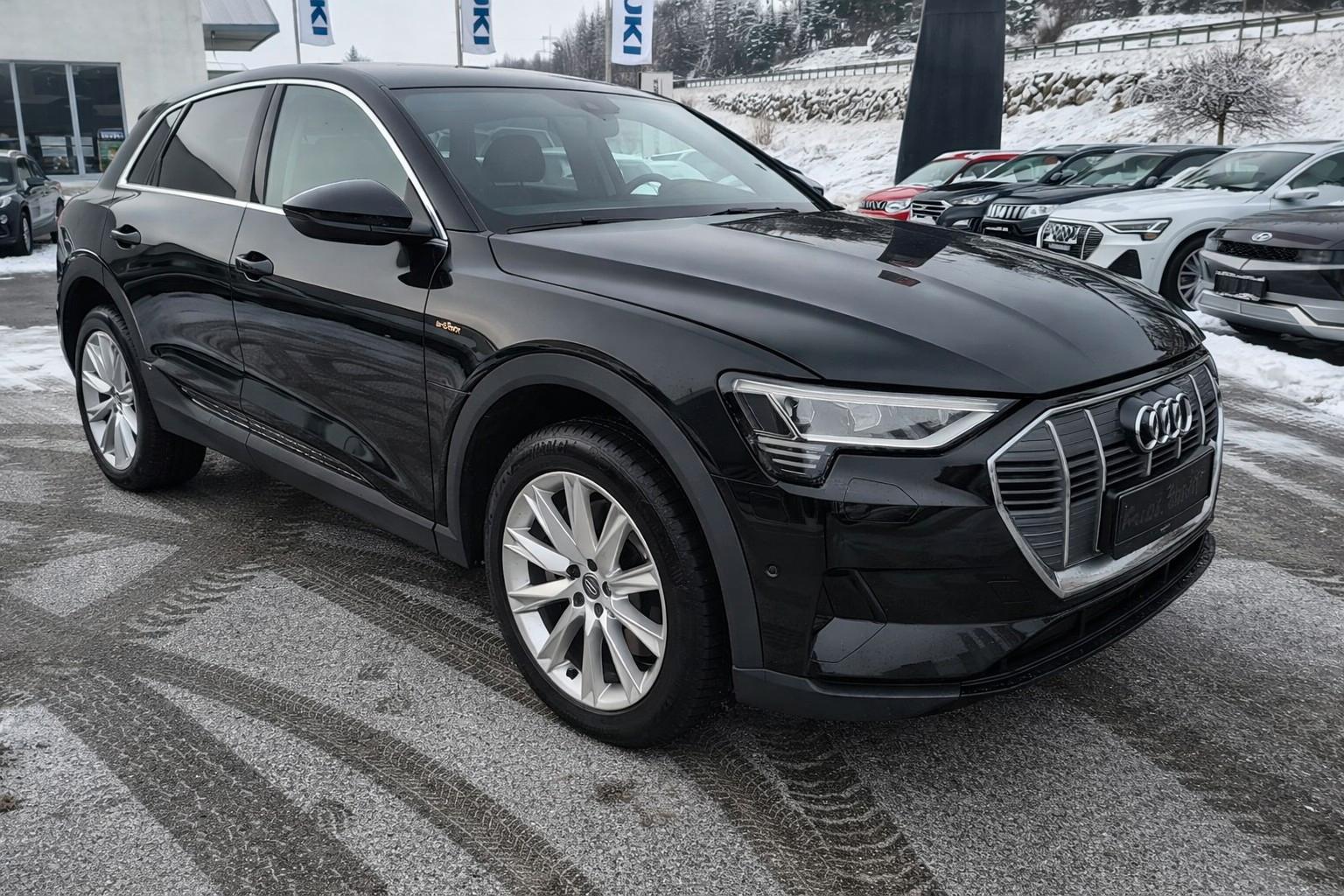 Audi e-tron 50 AHK Matrix Kamera  8-fach bereift MWST