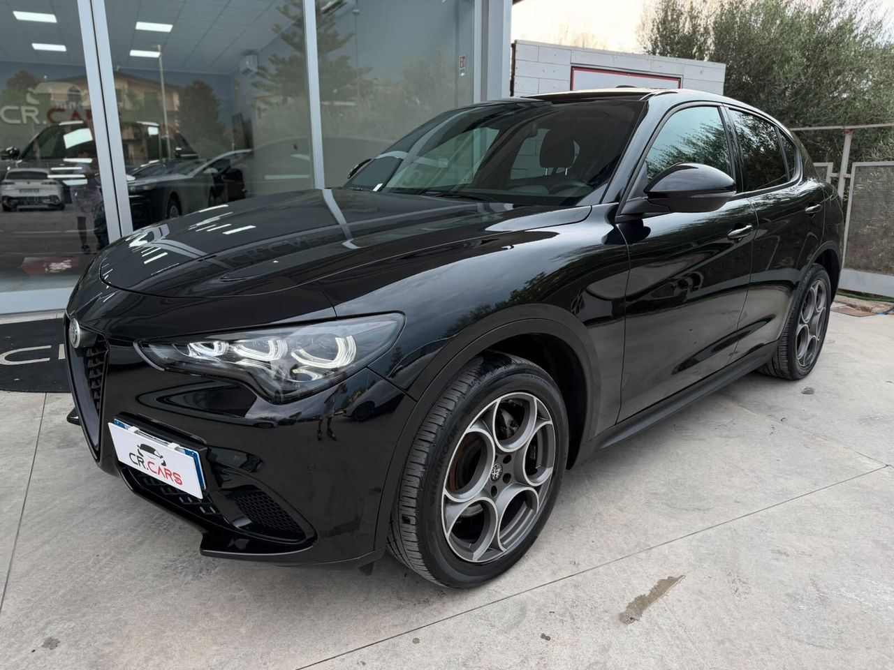 Other Alfa Romeo Stelvio 2.2 Turbodiesel 210 CV AT8 Q4
