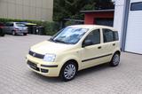 Fiat Panda 1.2 8V Classic - Fiat Panda: Gelb