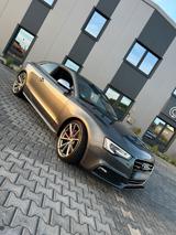Audi A5 Coupé DTM Edition 3.0 TDI V6 Quattro - Audi A5 DTM Gebrauchtwagen