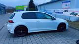 Volkswagen Golf 7R 4MOTION - vor OPF, Handschalter, DCC.... - Volkswagen Golf: 7 R