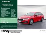 Skoda Octavia Combi 2.0 TDI DSG Tour AHK PanoDach Navi - Skoda Octavia Tour mit Diesel-Antrieb
