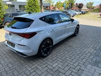 Cupra 