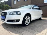 Audi A3 Cabriolet Garantie plus - Audi A3 aus 2011: Cabrio