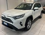 Toyota RAV 4 RAV4 2.5 HV (222CV) E-CVT AWD-i Dyn - Toyota Dyna Gebrauchtwagen