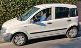 Fiat Panda - Fiat Panda in Hagen