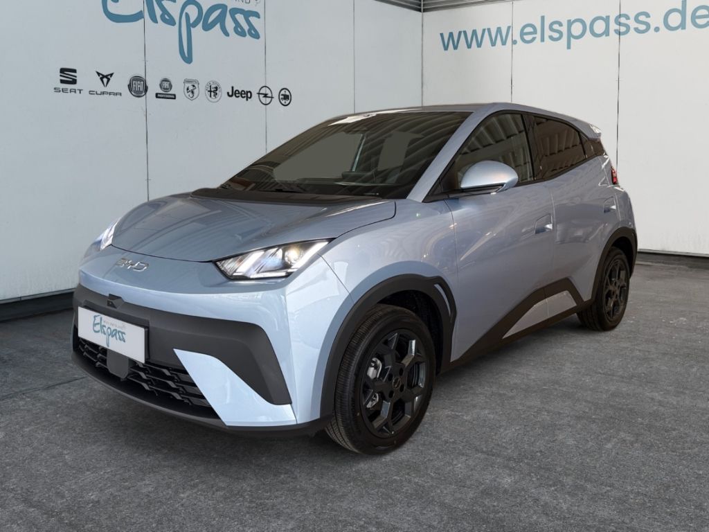 BYD DOLPHIN SURF