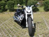 Harley-Davidson V-ROD Muscle (VRSCF) - Angebote entsprechen deinen Suchkriterien