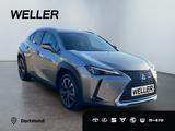 Lexus UX 250h Style Edition *Bi-LED*ACC*CAM*SHZ*CarPla - Lexus: L