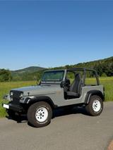Jeep Wrangler YJ 4.0, Top Zustand TÜV 05/27 - gebrauchte Jeep Wrangler aus dem Jahr 1994