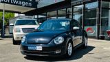 Volkswagen Beetle Lim. Sport Turbo AUTOMATIK NAVI SHZ LEDER - Volkswagen Beetle aus 2011