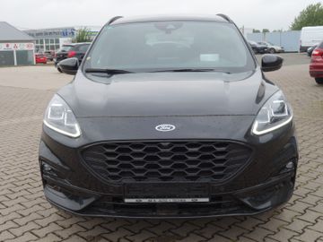 Bild 3 Ford Kuga 1.5 EB ST-Line X,NAVI,SHZ v+h