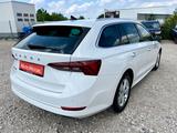Skoda Octavia Ambition AAC AHK SHZ NAVI - Skoda aus 2024