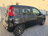 Fiat Panda  - Fiat Panda: Schwarz