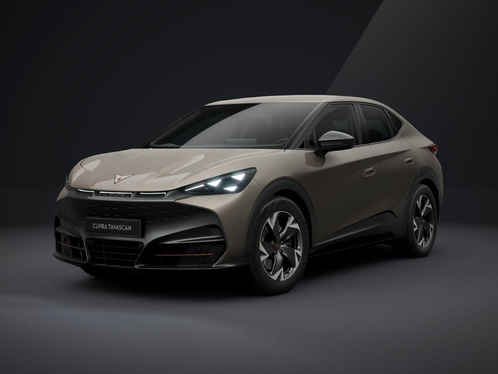 Cupra 140 kW (190 PS) 58 kWh