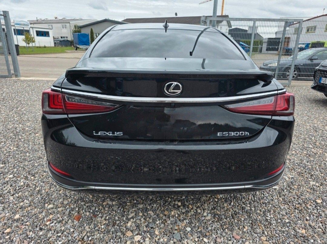 Lexus ES Hybrid Luxury imagem 2