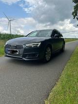 Audi A4 3.0 TDI S /AHK/8xAlu/HU & Service neu/Vollaus