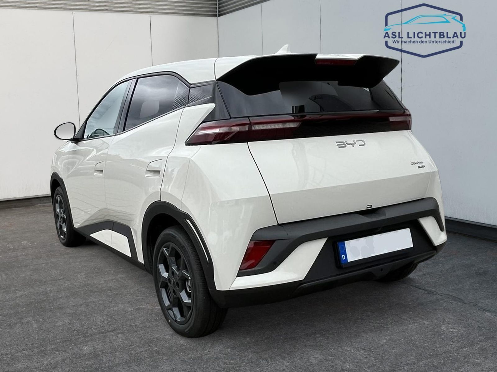 BYD DOLPHIN SURF